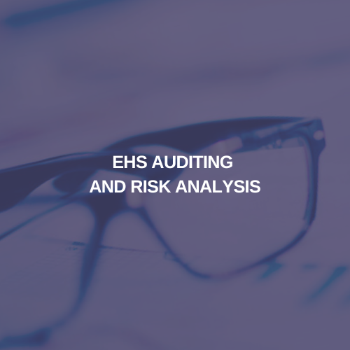 EHS AUDITING AND RISK ANALYSIS